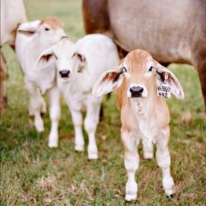 Meet your Posher, Savanna